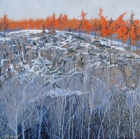 Cap Molson, St-Sauveur--oil on linen 16x16