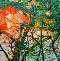 Late Summer’s Dazzle--oil on canvas 40x40