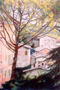 Tuscana Rosa--coloured pencils on paper 13x9
